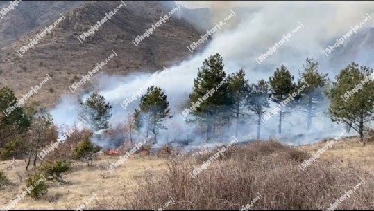 VIDEO/ Përfshihen nga flakët 5 ha pyje dhe kullota në Plan i Bardhë në Klos! Forcat zjarrfikëse ndërhyjnë për të shuar zjarrin
