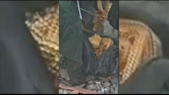 VIDEO/ Pas parave të shumta, grupet e kërkim-shpëtimit gjejnë një çantë plot me rripa floriri