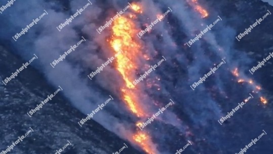 2 vatra aktive zjarri në Vlorë, në fshatrat Treblovë dhe në Dukat! Flakët favorizohen nga era e fortë