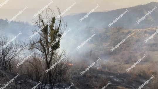 Zjarr në Gramsh, digjen dhjetëra hektarë pyje