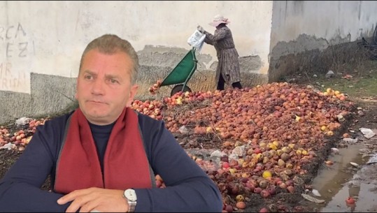 Fermerët e Devollit hodhën prodhimin në kanal dhe prenë pemët e mollëve! Justifikimi i Drejtorit të Bujqësisë Korçë: S'kishin cilësi! Nuk do shiteshin në treg