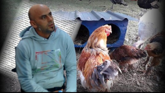 Dosja/ Si u kap Dan Hutra në kotec duke vjedhur pula në Durrës pasi doli nga burgu për vrasjen e ish gruas! 20 vjet krime, por shteti nuk parandaloi dot masakrën e fundit 