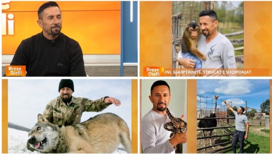 Njihuni me Hysni Rexhaj, personazhin kontrovers nga Kosova që jeton me 2000 kafshë të egra. Foto e Hysniut “Ujku Trump” që fut kokën në gojën e ujkut, ka bërë xhiron e botës!