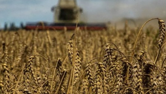 Rusia zgjat marrëveshjen e grurit për 60 ditë