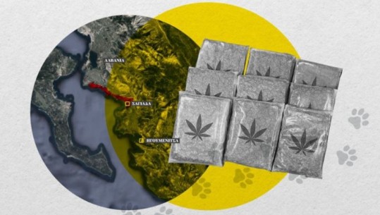 Reportazhi i medias greke: Trafiku i drogës Shqipëri-Igumenicë, rrjeti përdor të pastrehë për transportin e marijuanës