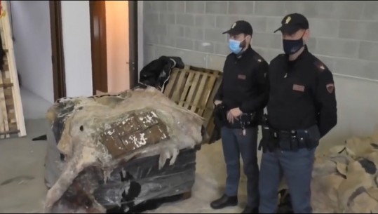 VIDEO/ Goditet grupi kriminal në Itali, 21 në pranga, mes tyre 1 shqiptar! Kishin fshehur 760 kg kokainë në lëkurë të papërpunuar viçi, droga vinte nga Amerika e Jugut