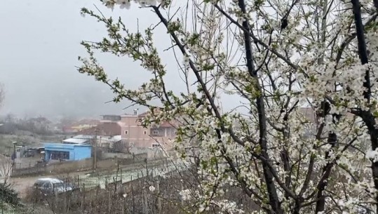 VIDEO/ Dimri nuk do të ikë në Korçë, vijojnë reshjet e dëborës! Ulen ndjeshëm temperaturat
