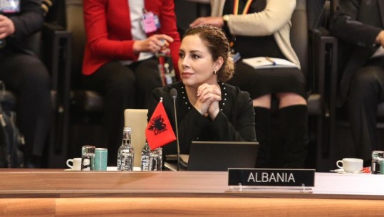 Komiteti i Ministrave vendosi të pranojë kërkesën e Kosovës për anëtarësim, Xhaçka: Lajm i mirë