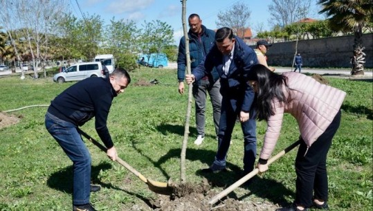 Balla vijon fushatën për mbjelljen e pemëve në Lushnjë: Jo më fushata me postera që vendosen nëpër mure