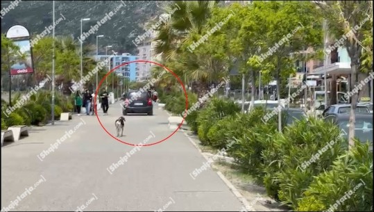 Video Lajm/ Automjeti lëviz përmes shëtitores së Shëngjinit, rrezikon qytetarët