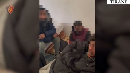 Trafikonin emigrantë të paligjshëm kundrejt pagesës dhe kultivonin kanabis, tre të arrestuar në Tiranë, dy në kërkim (VIDEO)