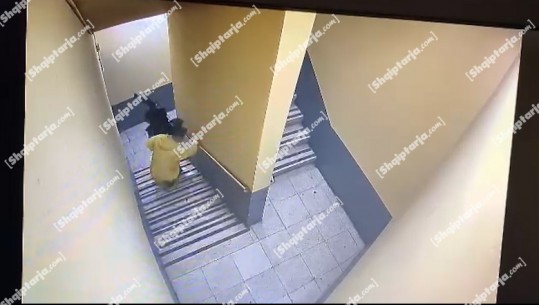 VIDEO/ Arrestohet 25-vjeçari që ngacmoi seksualisht 15-vjeçaren në ashensorin e pallatit dhe vajzën nga Kenia në parkingun e një qendre tregtare 