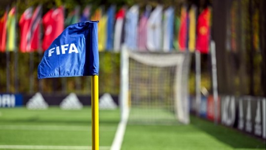 FIFA provim me 3800 agjentë futbolli, gjysma 'nuk kalojnë klasën'