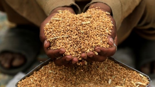 OKB: Çmimet e ushqimeve rriten për herë të parë pas një viti