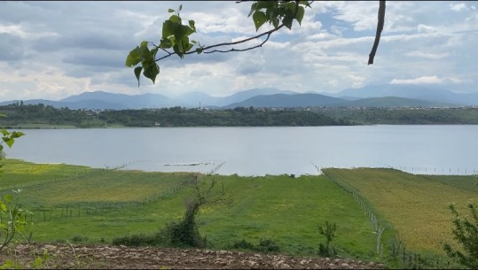 Liqeni i Fierzës, kuotë maksimale, dëmtohen tokat bujqësore! Banorët e fshatit Breglumë: Prej 30 vjetësh, asnjë zgjidhje