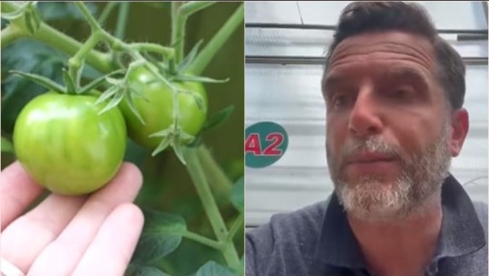 Erion Braçe: Prodhuesit e domateve po dëmtojnë bujqit e ndershëm! Pjekin perimet me preparate, pse nuk shton kontrollet