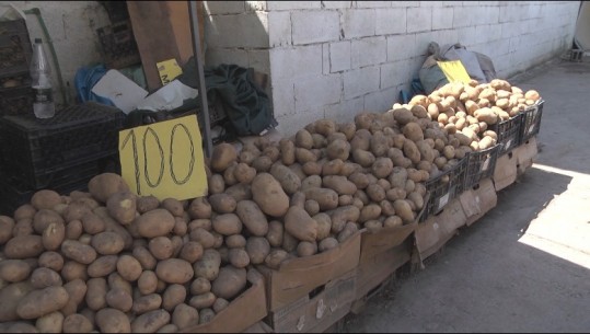 Rritet çmimi i patates në treg, 120 lekë/kg! Prodhim i pakët në fusha! Fermerët: Ngricat e pranverës dëmtuan prodhimin 