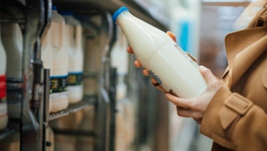 Rënia e blegtorisë, qumështi i importit rritet me 28% për 4 mujorin e këtij viti, zëvendëson prodhimin vendas pasi është më i lirë