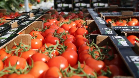 Kosova bleu mbi 4 milionë kilogramë domate nga Shqipëria, AUV po bën kontrolle shtesë