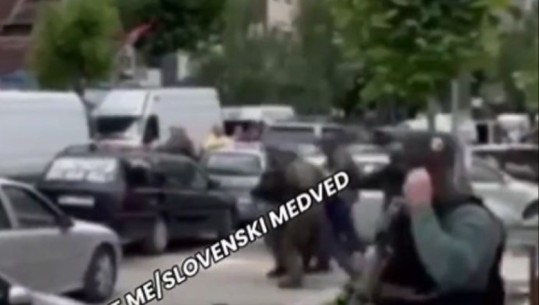 VIDEOLAJM/ Arrestimi i serbit për sulmin ndaj ushtarit të KFOR, momenti kur policia e Kosovës e vë në pranga