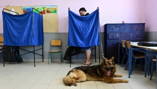 Zgjedhjet e parakohshme në Greqi, qytetarët shkojnë në qendrat e votimit të shoqëruar nga kafshët shtëpiake