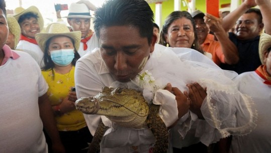 VIDEO/ Kryebashkiaku martohet me një krokodil! Shikoni ceremoninë kur e merr në krahë dhe puth zvarranikun e bërë nuse