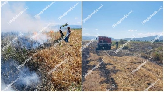 Fermerët në Maliq djegin barin për të pastruar tokën, flakët rrezikojnë sipërfaqet me grurë