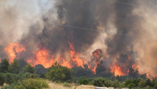 VIDEO/ Gati gjithçka e shkrumbuar! Mijëra të evakuuar nga zjarret në Kroaci, zjarrfikësit vijojnë betejën me flakët