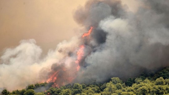 Vatrat e zjarrit në Dervenochoria, jashtë kontrollit! Erërat ndihmojnë flakët të përhapen, zjarrfikësit në ‘luftë’ me kohën