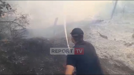 Zjarrin në Peshtan të Fierit, nënkryetari i bashkisë për Report Tv: Situata po vihet nën kontroll, janë vatra të vogla! Nuk rrezikohen banesat