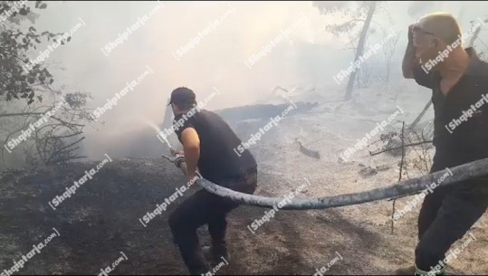 Në luftë me flakët, forcat zjarrfikëse të Patosit ndërhyjnë për të shuar zjarrin në Peshtan të Fierit