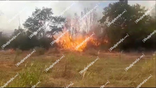 Zjarri në Peshtan të Fierit, mbërrin në zonë së bashku me drejtues të bashkisë Taulant Balla