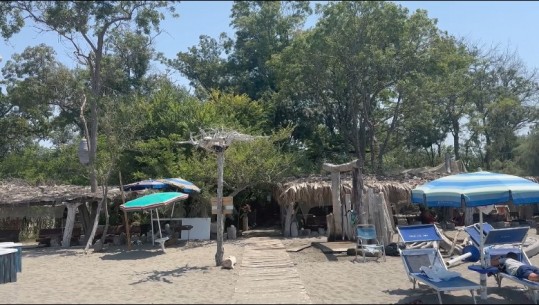 Plazhi i Kunes në Lezhë ‘rrëmben’ turistë nga mbarë bota me kampera! Pushuesit e huaj: Një mrekulli me çmime të lira