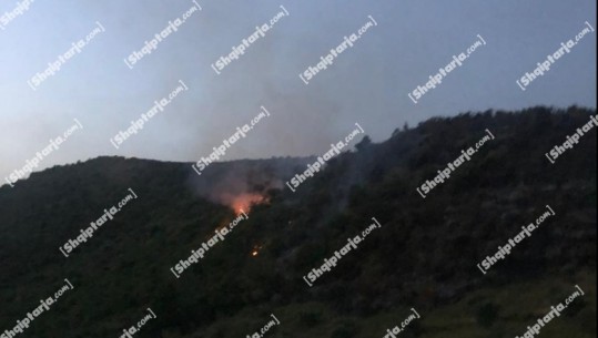 Zjarr në fshatin Bistrovic në Dimal, merr flakë një zonë me shkurre