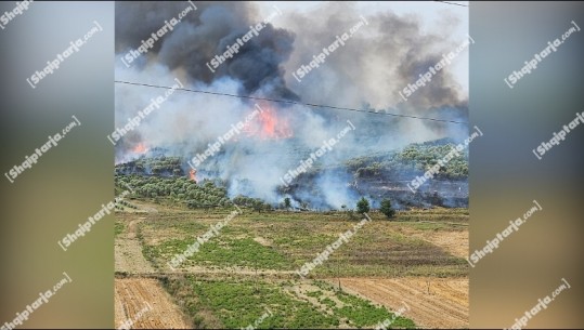 VIDEO/ Zjarr në fshatin Çeprat në Vlorë, flakët rrezikojnë banesat