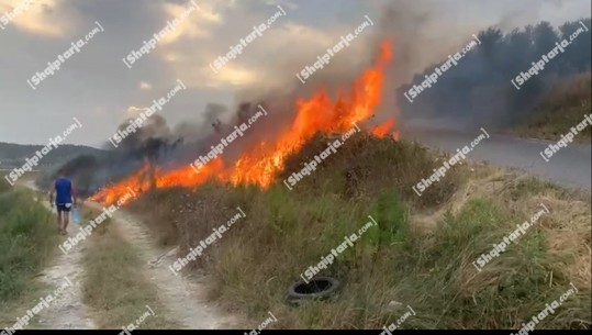 VIDEO/ Riaktivizohet vatra e zjarrit në Kraps të Fierit, digjen 3 banesa! Nis ndërhyrja nga ajri! Flakë edhe në Çeprat dhe Risili të Vlorës, rrezikohen banesat