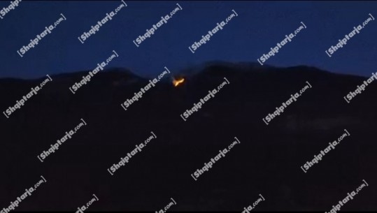 Zjarr në malin e Gjallicës në Kukës, digjen 5 hektarë pisha