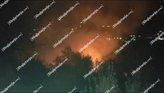VIDEO/ Zjarr në fshatin Rroshnik në Berat, era favorizon flakët