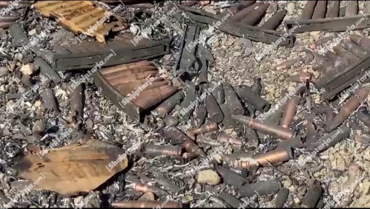 Fier, vijon zjarri në pyllin e Peshtanit dhe Kreshpanit, dëgjohen shpërthime municionesh (VIDEO)