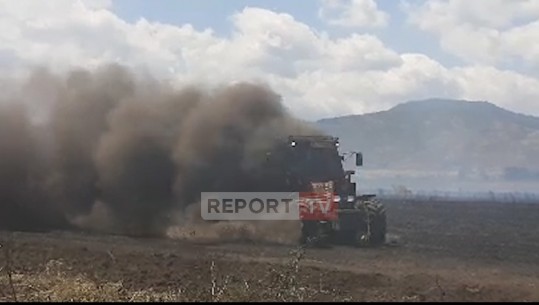 VIDEO/ Zjarr në Sheqeras të Korçës, digjen rreth 7 hektarë grurë