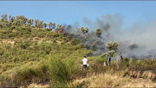 Ndezi zjarr me tymuesen e bletëve dhe flakët u përhapën duke djegur një sipërfaqe të toke, vihet në pranga bletrritësi në Gjirokastër