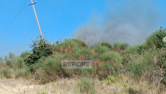 Zjarr në kodrat e fshatit Çiflik në Lushnjë, digjen 4 hektarë ullishte e shkurre