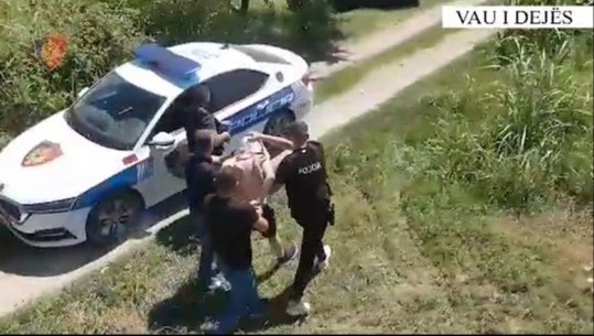 Asgjësohen 810 bimë narkotike në Vaun e Dejës, VIDEO nga momenti kur policia mësyn në serën me kanabis