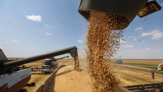 Marrëveshja e grurit, fermerët ukrainas dhe polakë kërkojnë zgjidhje për problemin me prodhimet bujqësore