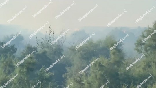VIDEO/ Zjarr në Nartë të Vlorës, dyshohet të jetë i qëllimshëm