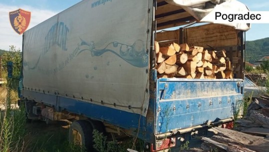 Po transportonin dru zjarri të prerë në mënyrë të paligjshme, dy persona në hetim në Pogradec