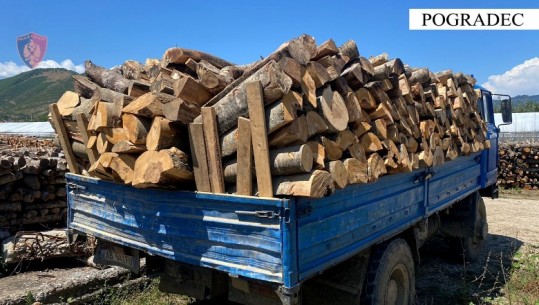 Po transportonin dru zjarri të prerë në mënyrë të paligjshme, vihen nën hetim dy persona në Pogradec