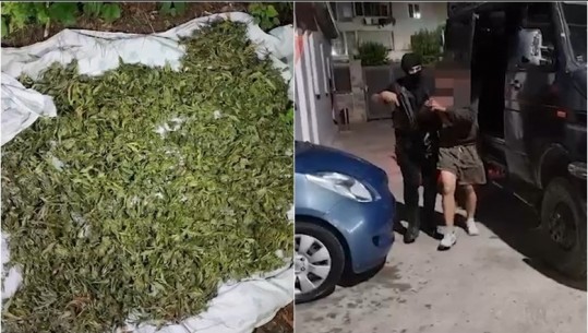 VIDEO/ Iu gjetën 11 kg kanabis në proces tharje pranë banesës, në pranga babë e bir në Krujë
