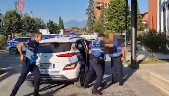 Vodhi targat e 12 automjeteve në një ditë  për t’i përdorur në ngjarje kriminale jashtë vendit, arrestohet 23 vjeçari në Tiranë 