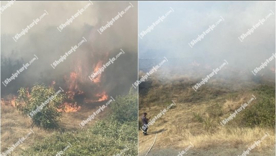 Zjarr në Dropull, digjen kullota e pyje në fshatin Likomil